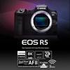 Canon EOS R5 Full-Frame Mirrorless Camera (CN version)