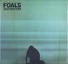 LP Record FOALS - What Went Down 0825646075034 Transgressive R 2015 UK Rock