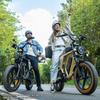 EBike x70 750W Dual Lithium Battery 34AH Long Range 40KM/H 20*4Fat Tire Electric Bike Mountain Electric Bicycle E-motorcycle
