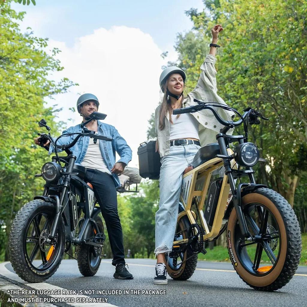 EBike x70 750W Dual Lithium Battery 34AH Long Range 40KM/H 20*4Fat Tire Electric Bike Mountain Electric Bicycle E-motorcycle