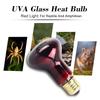 60W Infrared Heat Lamp Red Light Glass Heating Lamp Bulb for Lizard Reptile and Amphibian