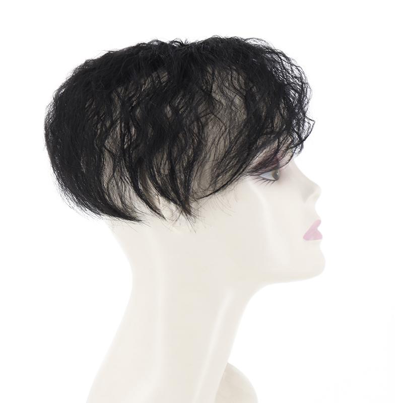 LISI HAIR Женские короткие вьющиеся волосы для наращивания волос из синтетического волокна, покрытие для седых волос и выпадения волос, натуральный черный, коричневый, светлый, для повседневного использования