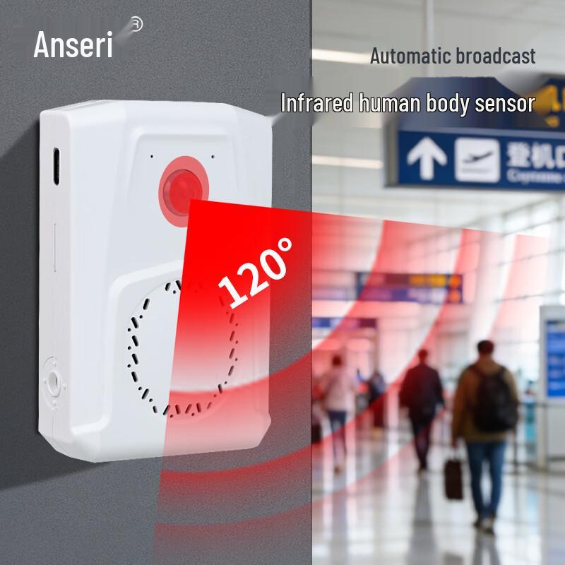 Инфракрасный датчик движения с голосовым оповещением Ansairui