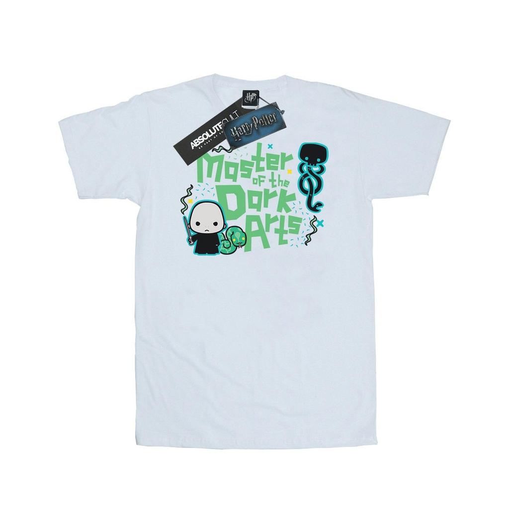Harry Potter Mens Voldemort Dark Arts Junior T-Shirt