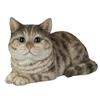 Ubia Lying Tabby 17 X X Doll Animal Garden Cute Cat, 10.5 9.8 Cm, Figurine, Ornament, Decor, Realistic, Cat, H24178-20