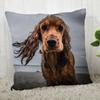 Pillowcase Cocker Spaniel  Modern Home Living Room Decoration