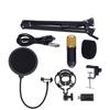 BM800 Studio Condenser Microphone Arm Stand Pop Filter Foam Cap Kit Record Accessory