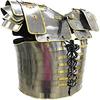 Roman Lorca SEGMENTATA Segment Plate Armor Brass Trimmed