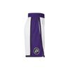 Nike Спортивные шорты Dry-Fit Dri-Fit Los Angeles Lakers с логотипом и цветными блоками, мужские брюки белого цвета DO9661-100