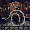 Ins Style Cuban Link Chain Light Luxury Short Full Snake-head Magnetic Clasp Unisex Necklace Collarbone Chain for Gift
