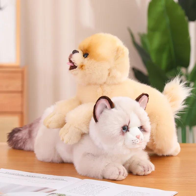 Милая имитация лежащих кошек плюшевая игрушка, милые тряпичные куклы Померанский шпиц, мягкие плюшевые животные-подушки, хороший подарок на день рождения для ребенка
