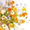 Color Flocking Stem Gorgeous Real Touch Elegant Artificial Papaver Rhoeas Silk Plants Faux Bouquet Fake Poppies Flowers