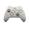 FLYDIGI Wireless Controller for Nintendo Windows PC Distributor in "DUNE FOX" Switch™ / [Official Japan]