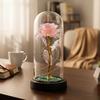 Preserved Rose In Dome with LED Light Artificial Eternal Rose Flower Gifts for Her Mom Women Valentine's Day Mother's Day Christmas Birthday Gift