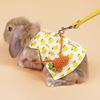 Cute Rabbit Leash and Harness Set Escape Proof Cute Clothes Walking Vest Knitted Bag Tiny Hat for Ferret Guinea Pig Hedgehog