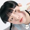 Joseon Beauty Успокаивающий солнцезащитный стик с полынью 18 г – SPF50+ PA++++