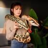 Simulated Python Snake Plush Toy Giant Boa Cobra Long Stuffed Snake Plushie Pillow Children Boys Gift Home Decoration