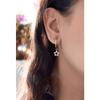 Glossy 925 Sterling Silver Earrings Star Jewelry For Women Gold Rhodium Rose Gold Plated With Zircon Drop Earrings