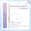 Blend Berry Shooting Bijou Eyeliner 001 Footprints Orion's