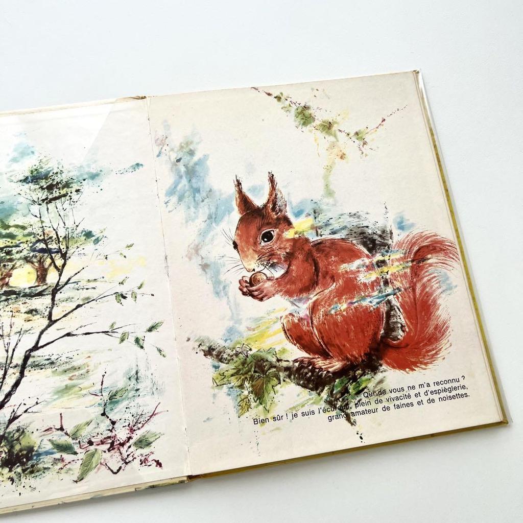 [Б/У] Детская книга Мориса Буланже, винтажная