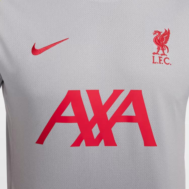 Nike Ливерпуль Dri-Fit FW24 ФК. Футболка-пуловер Strike Third Knit с коротким рукавом, мужская, светло-дымчато-серая FQ2611-078