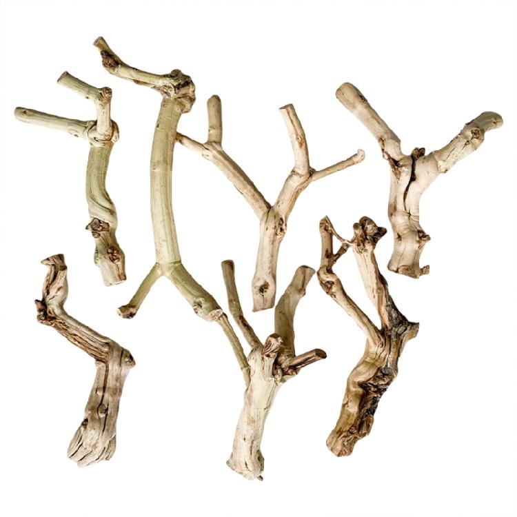 Reptiles Trunk Cave Natural Aesthetic Breeding Driftwood for Reptiles Wood Climbing Habitats Supplies