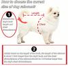 Clear Dog Rain Poncho for Small/Medium Dogs Heavy Waterproof Hidden Leash Hole Adjustable Snaps Anti-adhesive Hair Design Double