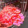 Aurora Color Shift Chunky Glitters Bulk Craft Nail Glitter Mix Iridescent Color Chunky Glitters for Face Tumbler Craft Decor