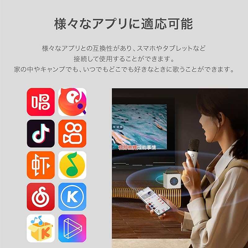 Smaly мини караоке комплект для домашнего использования PA комплект 8.5×9 см поставляется с 2 микрофонами Android iPhone планшет ПК Blooth USB Type-C TF карта AUX терминал