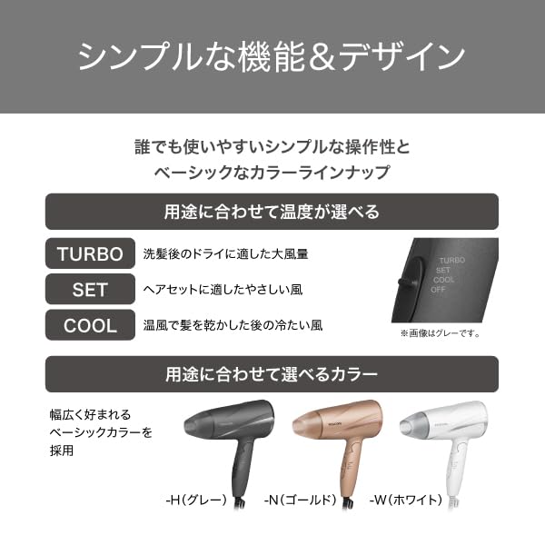 TESCOM Protect Ion Hair High Cold and Warm Dryer, Foldable, Airflow, Lightweight, Air, White, TD360A-W