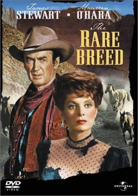 DVD DVD - Stampede Япония Фильмы и DVD Б/У