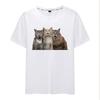 Cat Tshirt Unisex and Women Short Sleeve Cute Cat Print Cat Fashion Jacket Unisex and Women with The Same Tshirt Clothes Summer