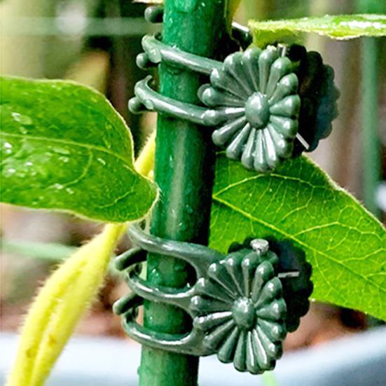 100 шт. зажим для стебля орхидеи универсальные стабильные экологически чистые зажимы для поддержки растений для более здоровых продуктивных растений