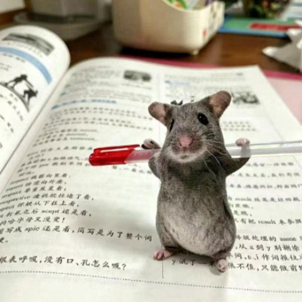 12/24cm Simulated Mouse Doll Plush Animal Figure Doll Gift Cartoon Mouse Doll Friend Gift