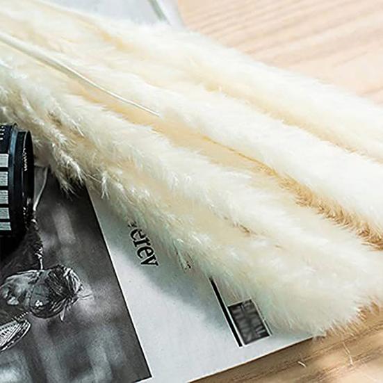 30 шт. сушеные растения, пушистые, привлекательные, 2 цвета, отличные искусственные сушеные травяные растения для домашнего использования