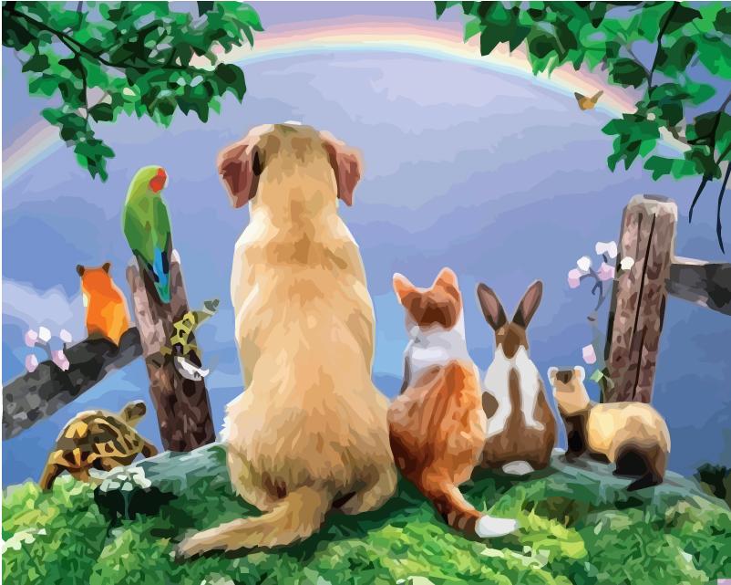 40x50 см живопись по номерам собака рисунок на холсте ручная роспись живопись искусство подарок DIY фотографии по номерам наборы животных домашний декор