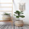 Macrame Wall Hanging Boho Decoration Chic Driftwood Tapestry 65 X 35cm