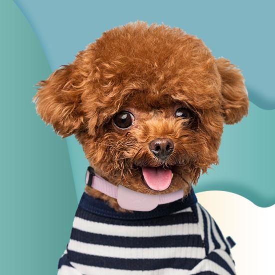 Водонепроницаемый GPS-трекер для ошейника питомца с долгим сроком службы батареи, Локатор собаки/кошки от потери, Отслеживание в реальном времени, Регулируемый комфортный ошейник