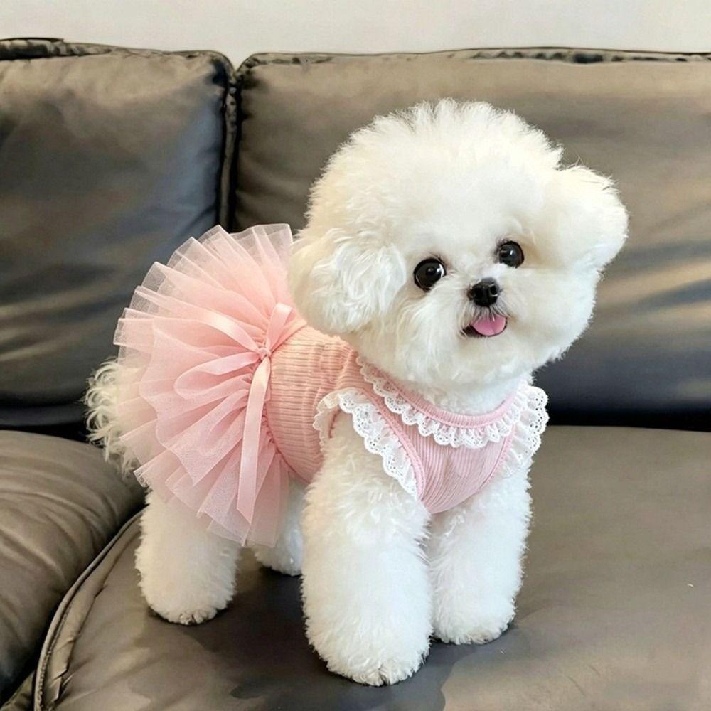 Pink Cat Princess Dresses Lace Tutu Dog Princess Dresses Cute Dog Sundress Daily Wear