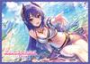 Chara Sleeve Collection Matte Series Princess Connect! Re:Dive Rei (Summer) (No. MT1905)