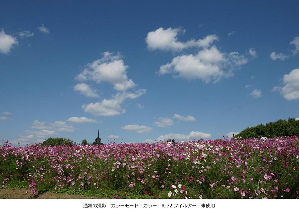 Фильтр камеры Kenko PRO1D 77 мм для монохромной фотографии 327708 R-72