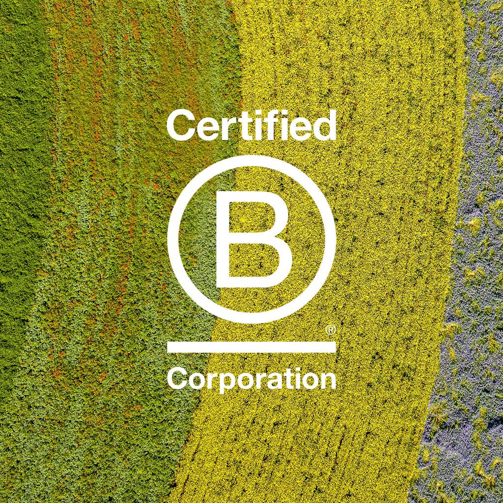 [Official] Davines Oi Hair Butter 250mL Davines