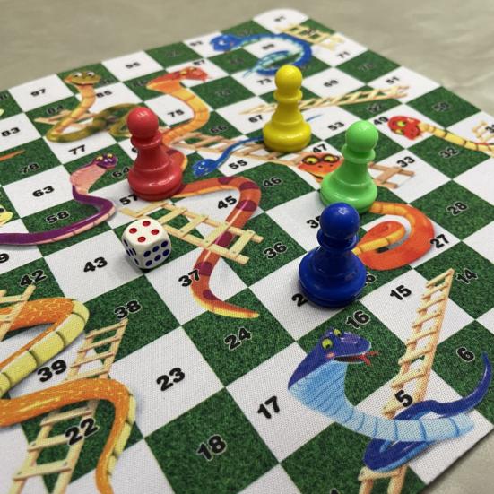 1 набор шахматных настольных игр «Змейка» с шахматной доской 24 см, 4 шахматных фигуры