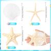 18Pcs Starfish and Scallop Shell for Crafts Making Beach Theme Party Wedding Decoration Home Wall Decor Christmas Ornaments