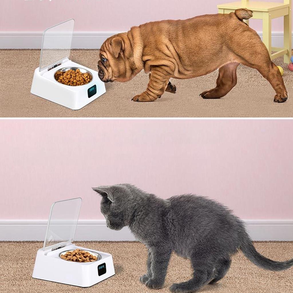Automatic Cat Feeder with Infrared Sensor Cover Removable Bowl Battery Powered Intelligent Automatic Opening Lid Dog Feeder