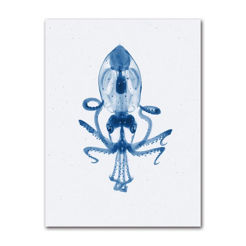 Retro Sea Animal Cyanea Jellyfish Squid Shark Minimalist Art Poster Canvas Painting Wall Prints Picture Living Room Home Decor