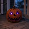 Indoor Outdoor Festive Decor 6Pcs Halloween LED Glowing Eyes with Timer And Remote, Light Up Purple for Pumpkins Skeleton Eyes, Horror DIY Masques,