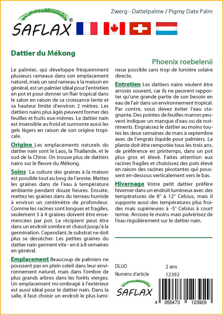 SAFLAX Финиковая пальма пигмейская - 25 семян - Phoenix roebelenii