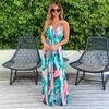 Women's Summer Sleeveless Maxi Dress Spaghetti Strap V Neck Long Dress Boho Tropical Style Beach Vacation A-Line Dress