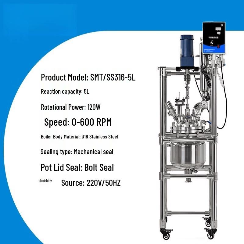 Rongyu 5L SS316 Electric Lab Reactor